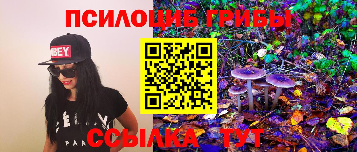 Галлюциногенные грибы Magic Shrooms Рубцовск