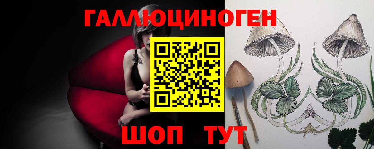 Псилоцибиновые грибы Cubensis  Вход с VPN  Псилоцибиновые грибы прущие грибы  Рубцовск 