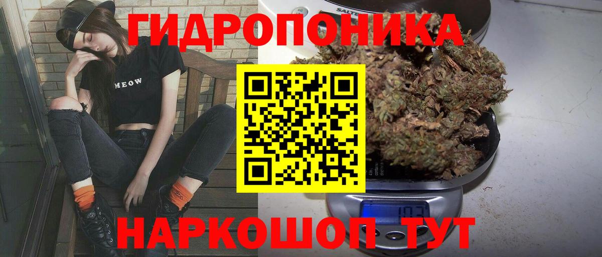 Рубцовск  Канабис сатива  Марихуана план  Вход с VPN 